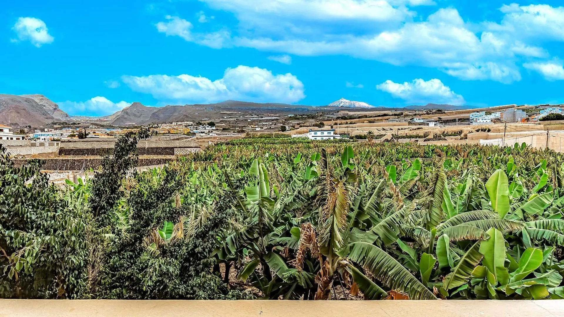 Apartament Sunflower Sea And Teide View Puerto de Santiago